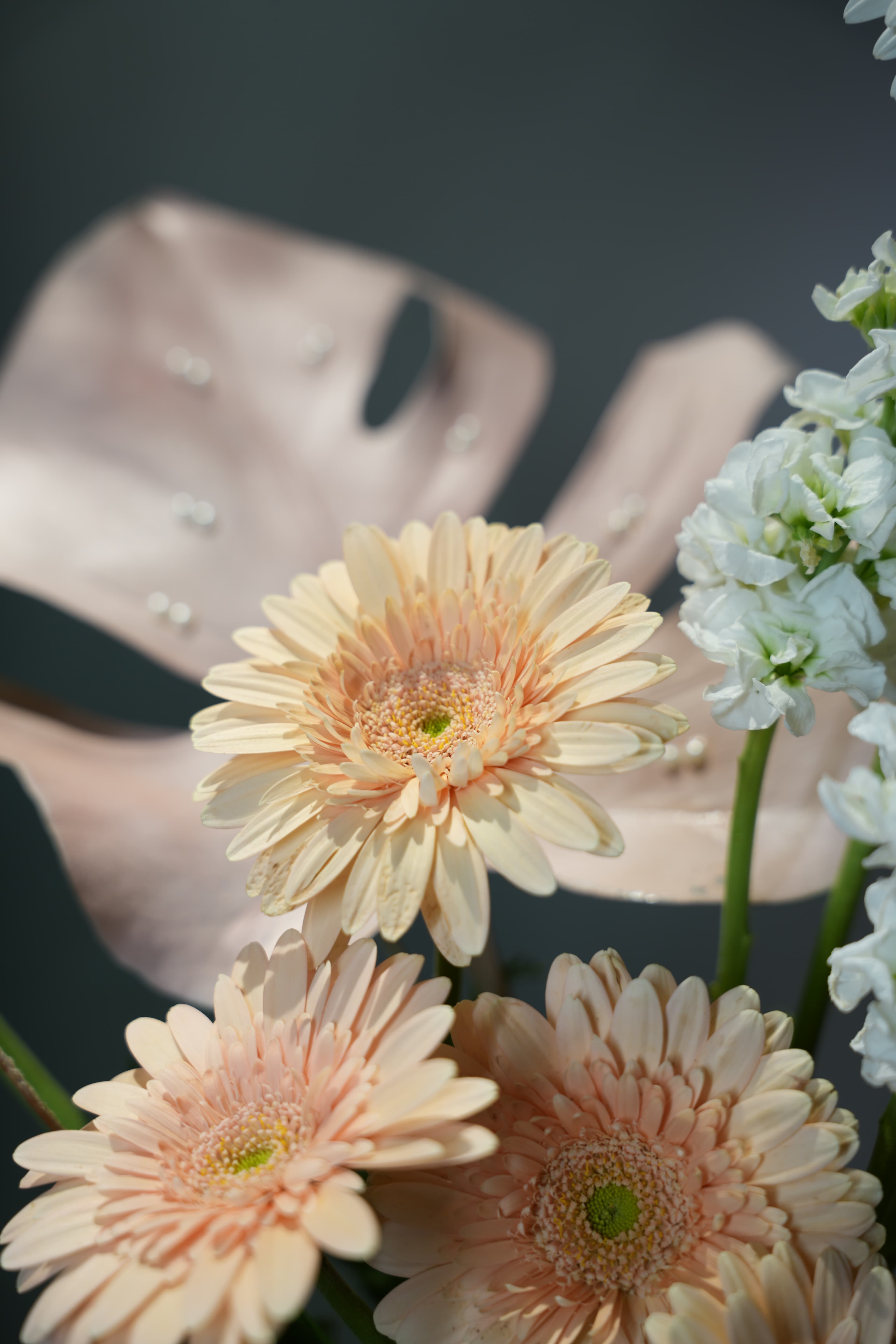 Elegance & Orchid Vase thumbnail 2