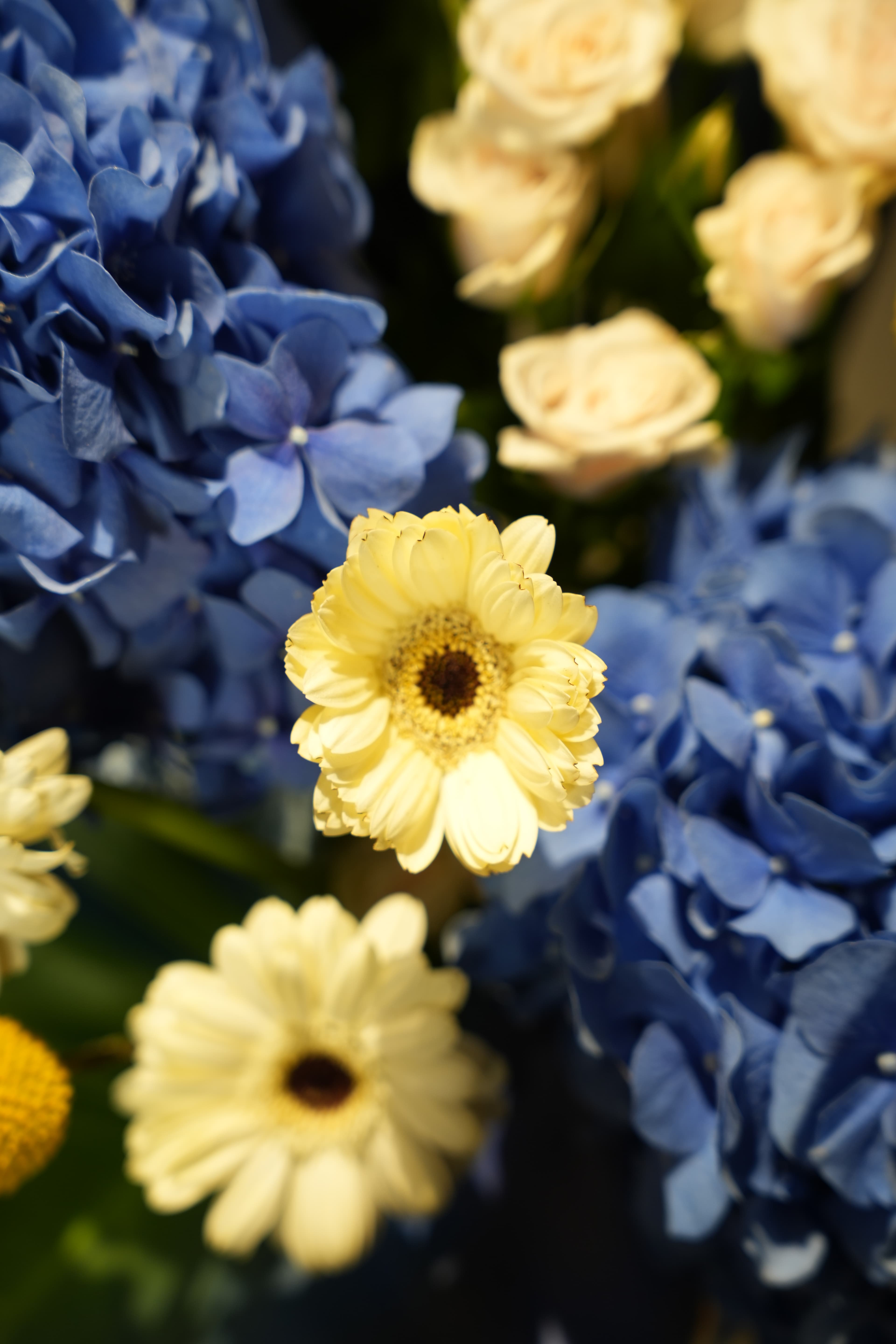 Blue Ocean Arrangement thumbnail 4