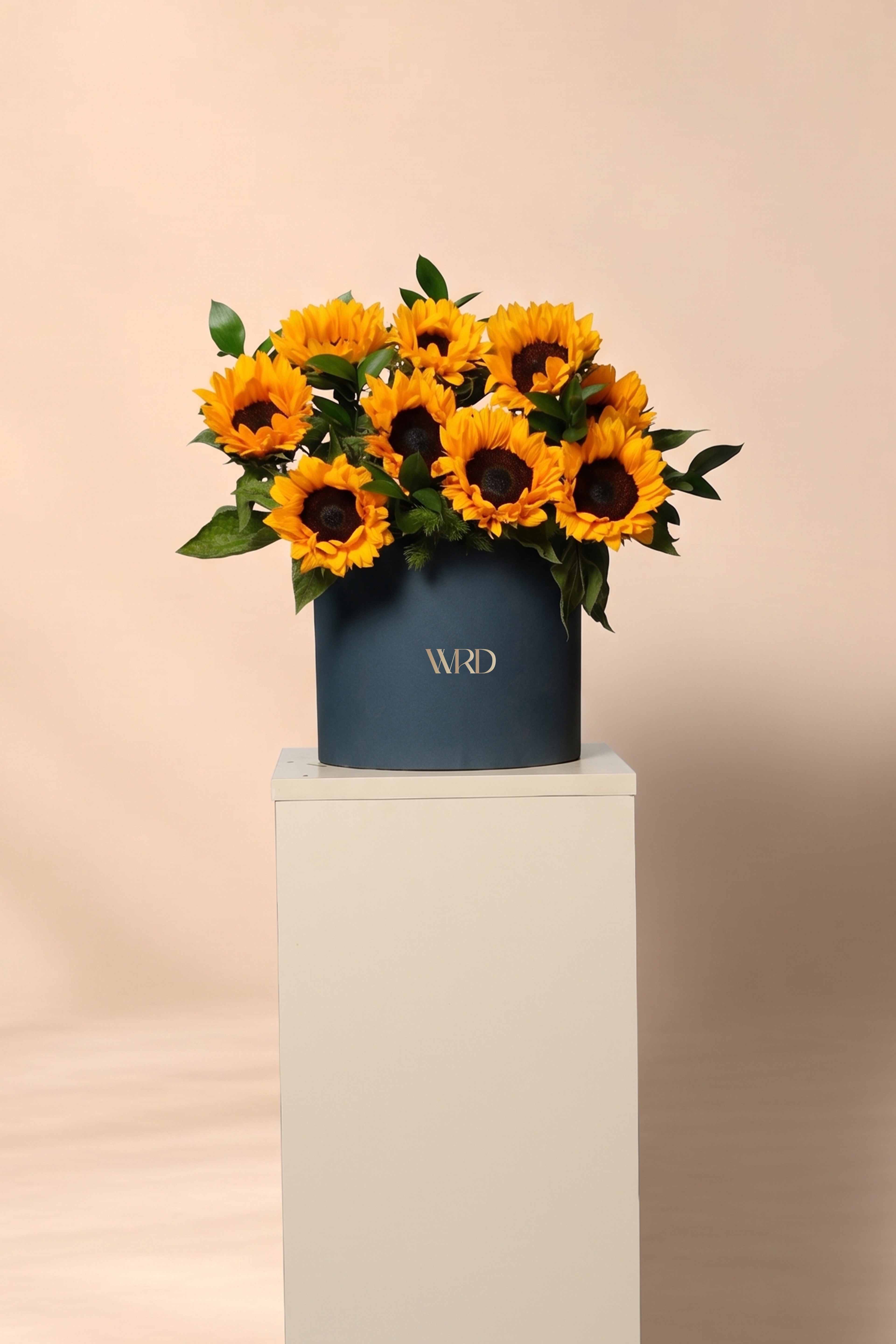 Sunrise Bloom