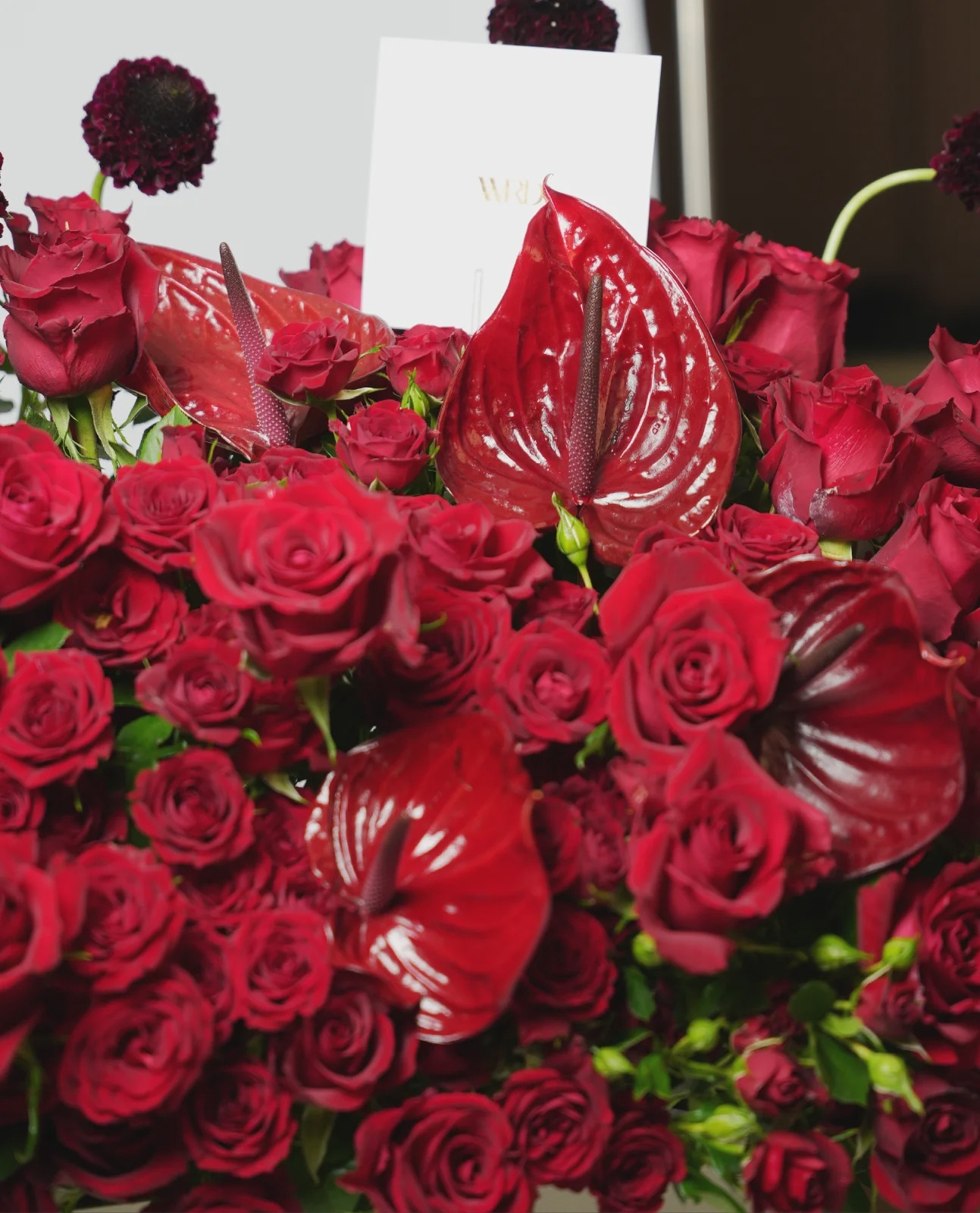 Red Romance thumbnail 3