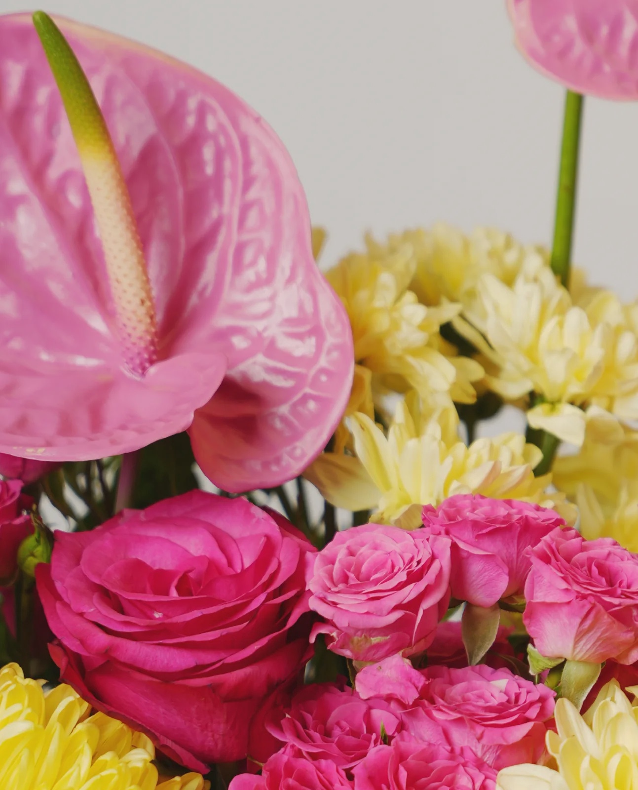 Pink Paradise thumbnail 3