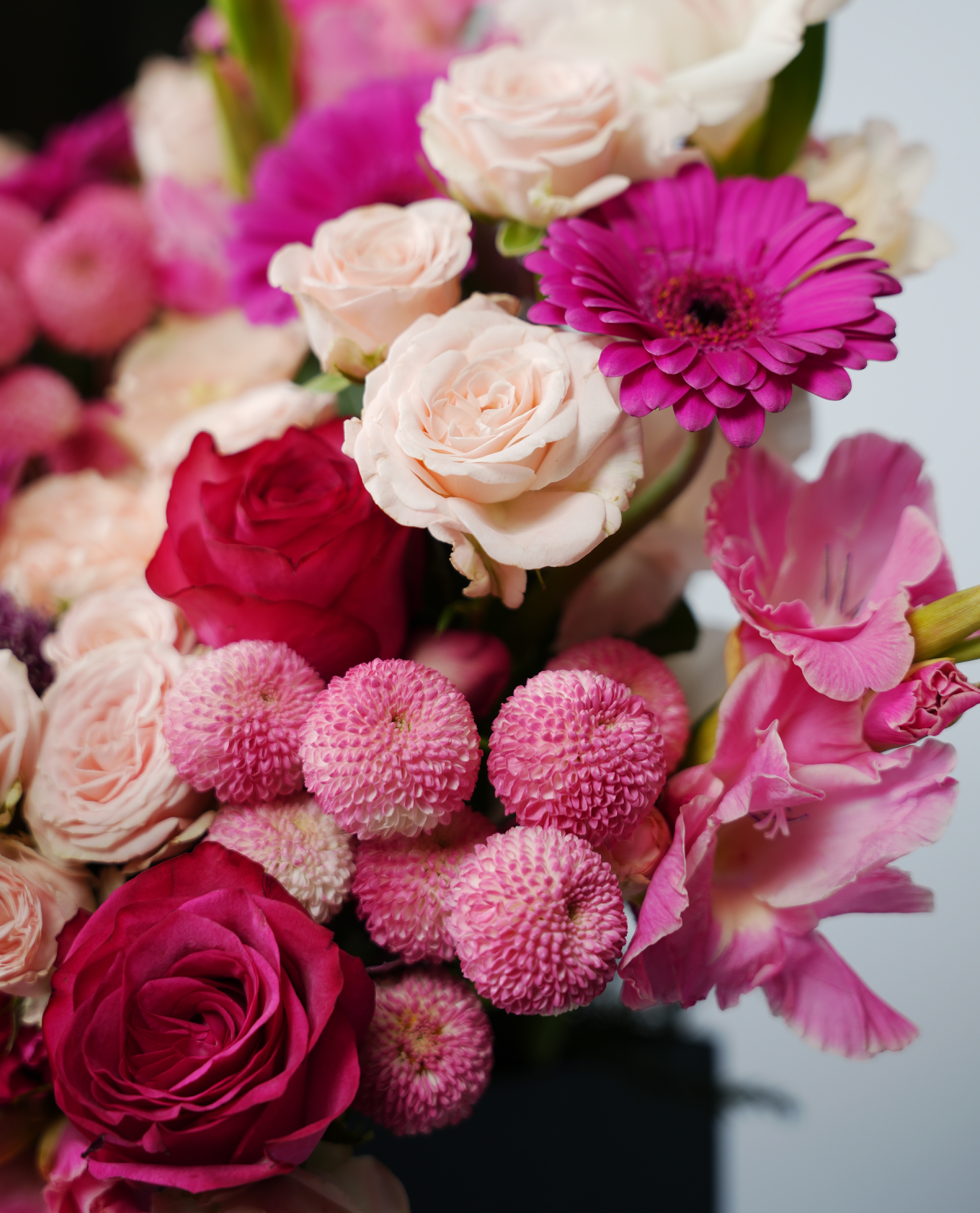 Summer Bloom thumbnail 2