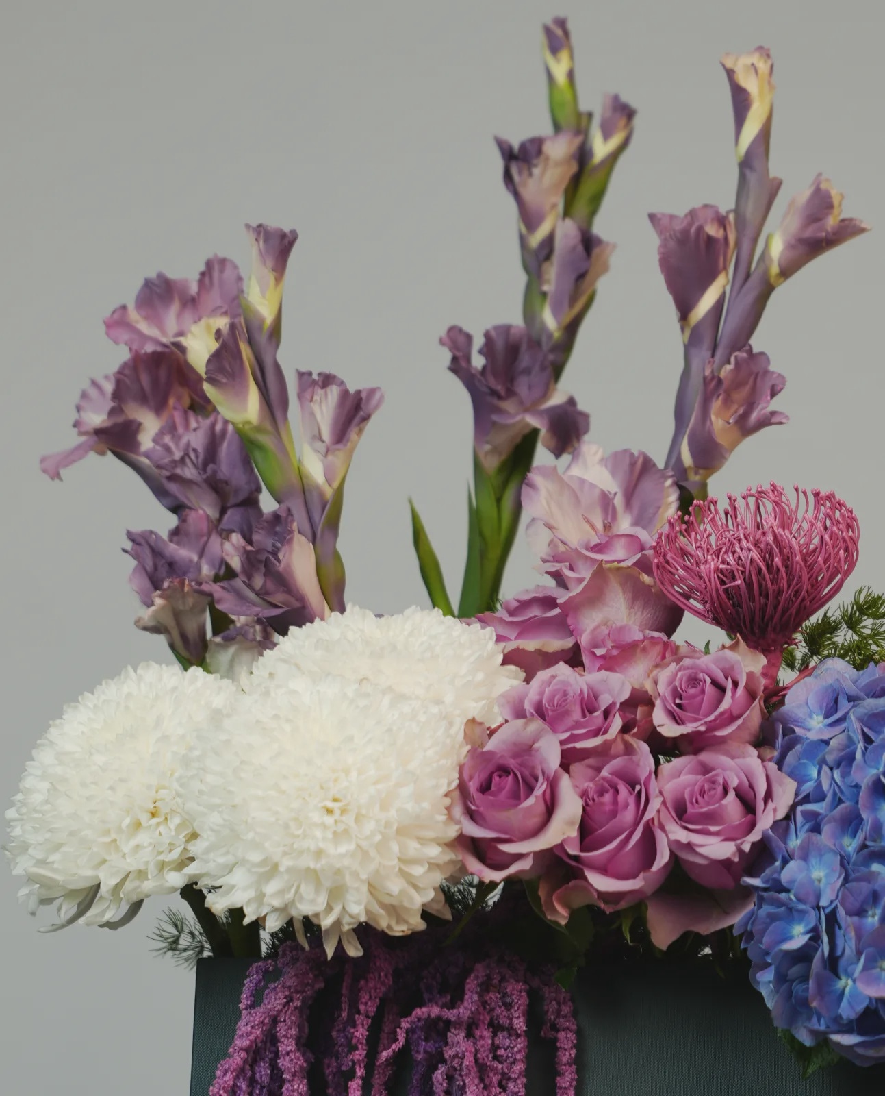 Violet Elegance thumbnail 5