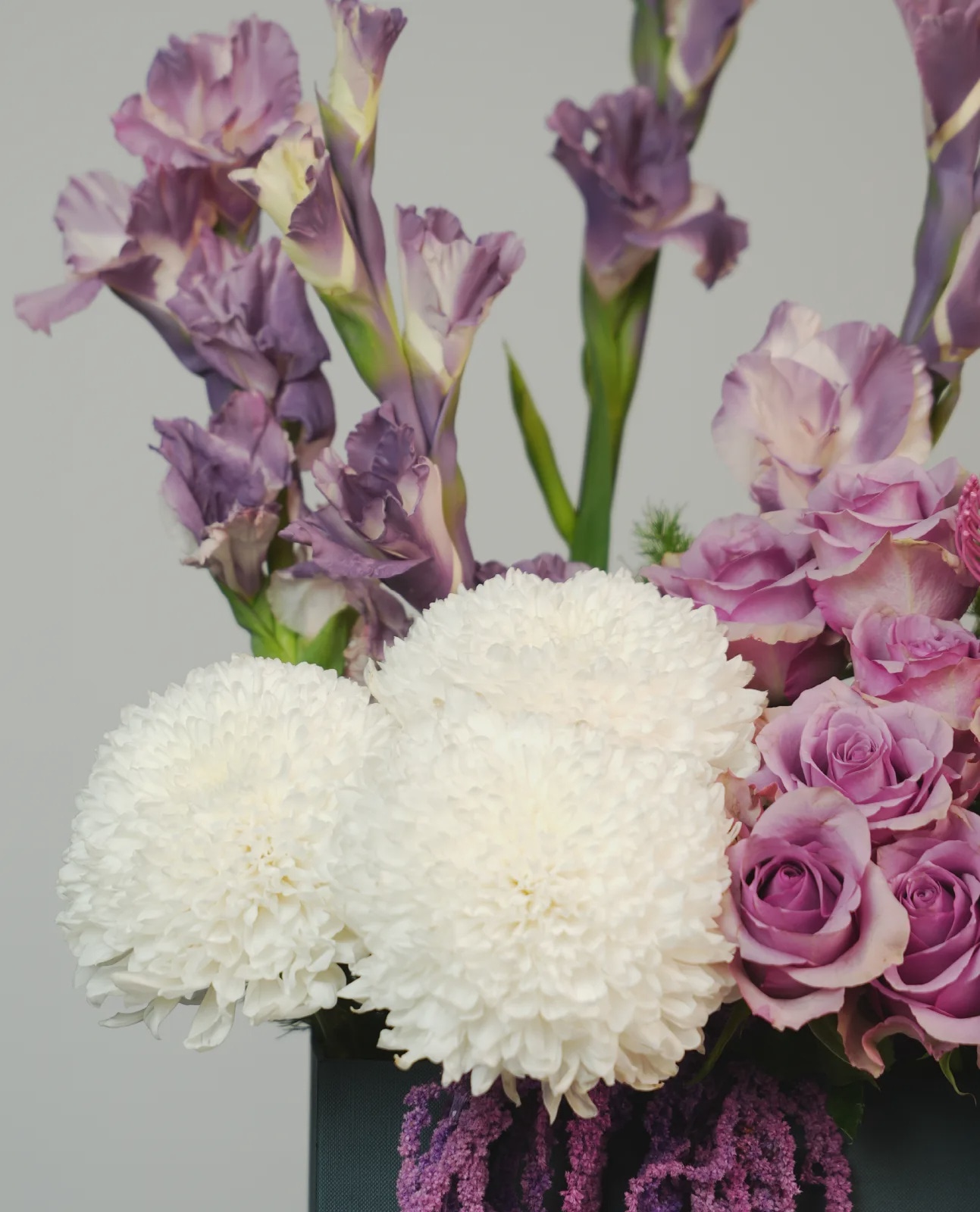 Violet Elegance thumbnail 4