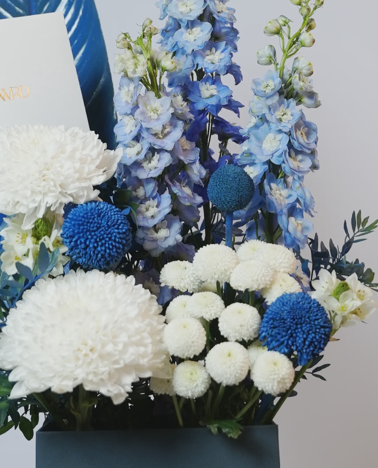 Blue Serenity thumbnail 3