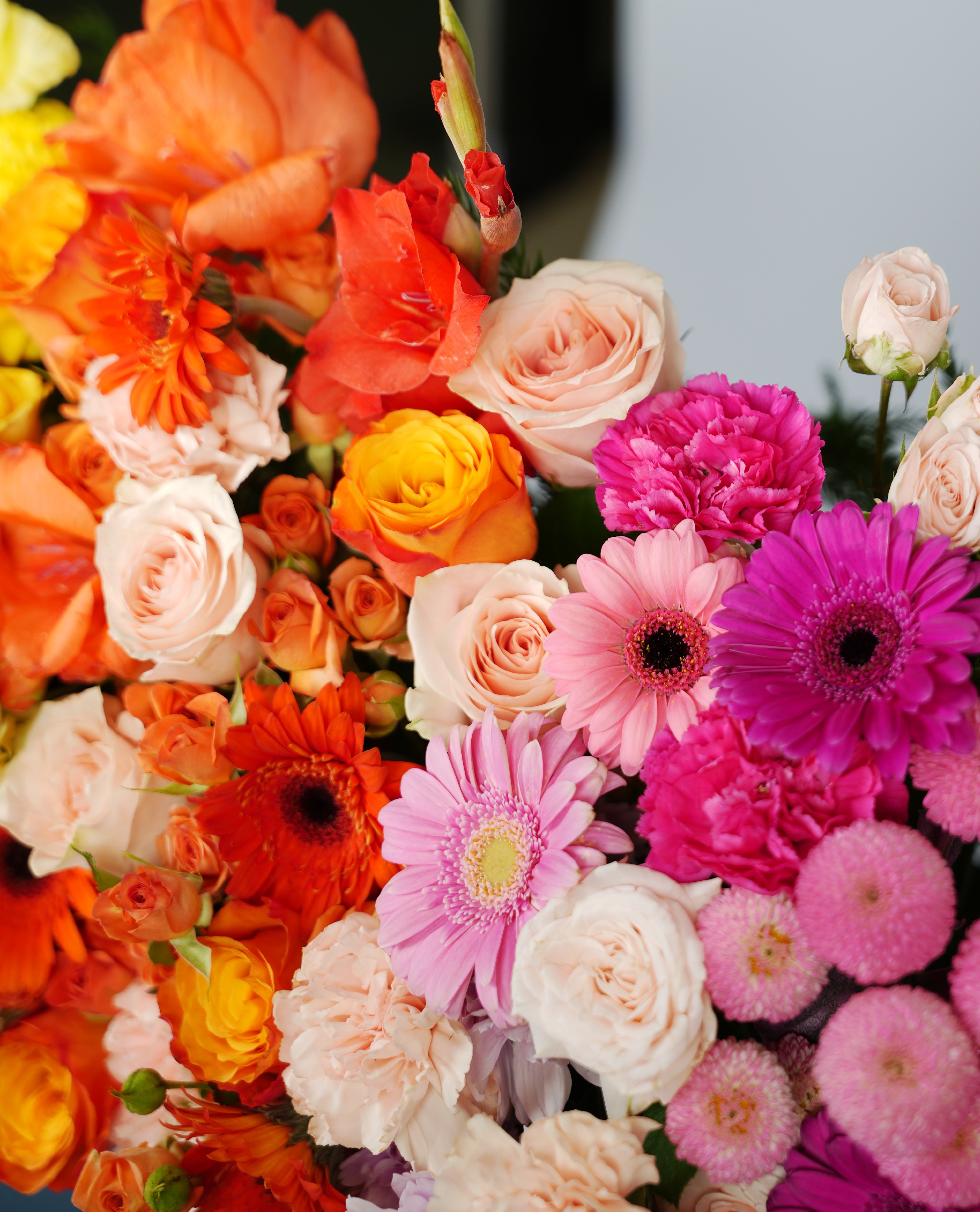Thirty Blooms of Joy thumbnail 5