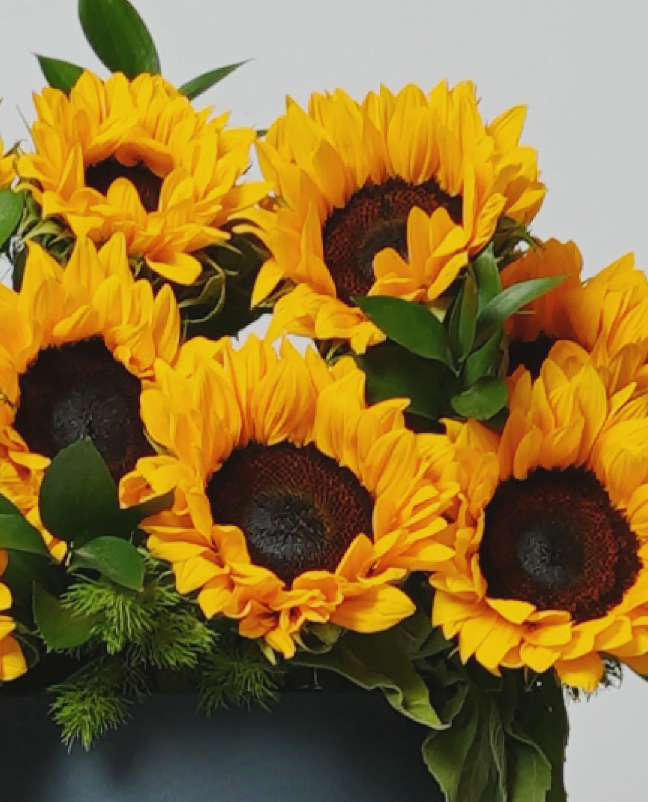 Sunrise Bloom thumbnail 2