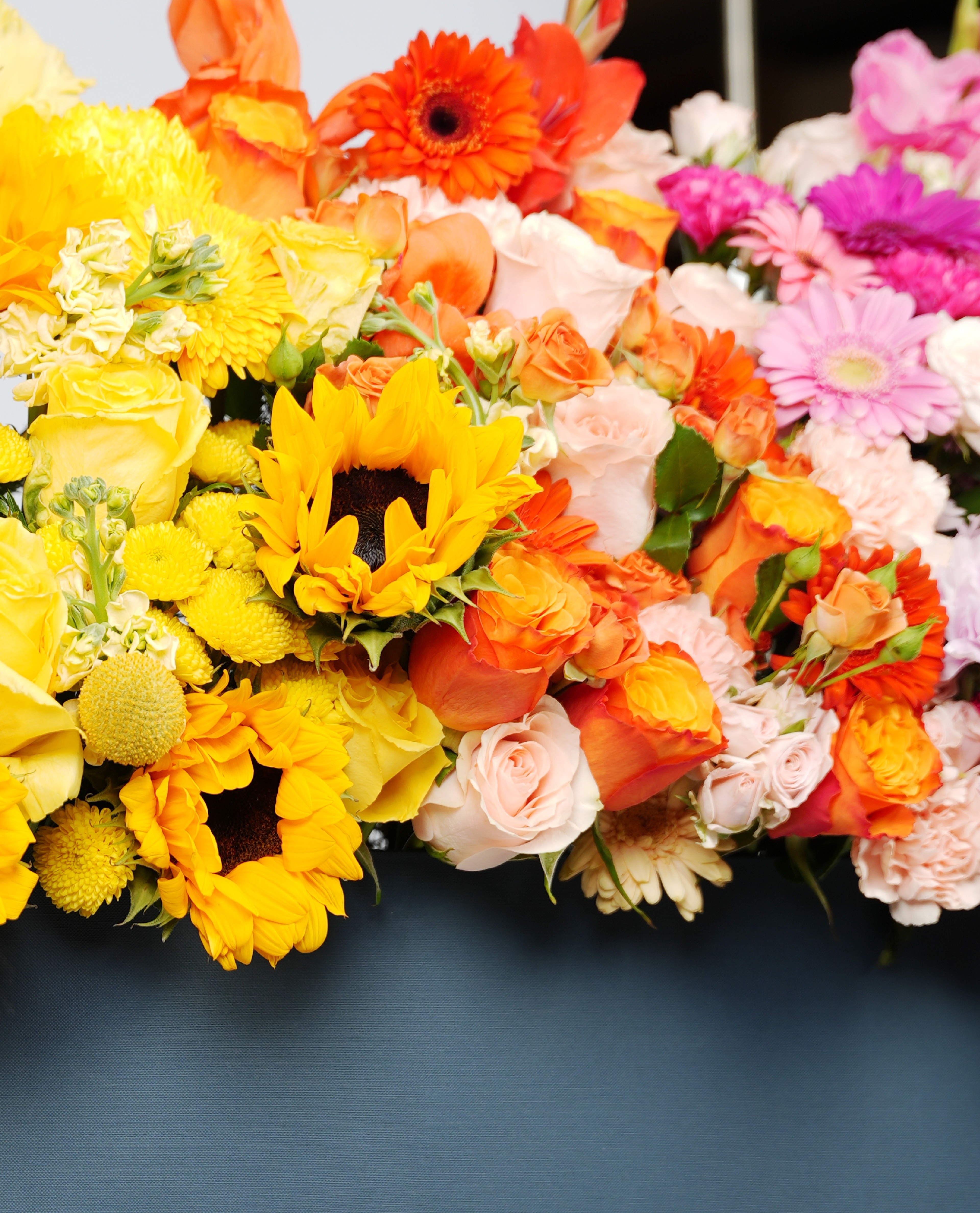 Summer Bloom thumbnail 1