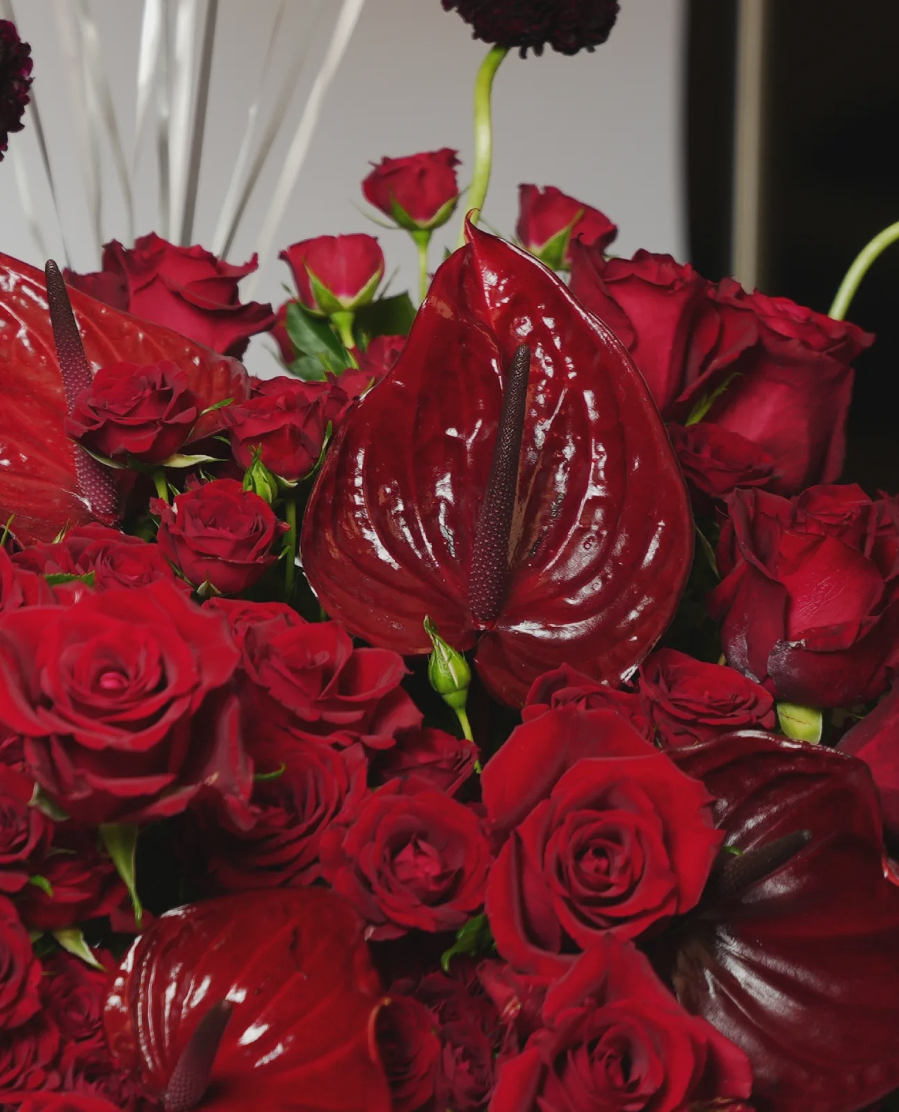 Red Romance thumbnail 4