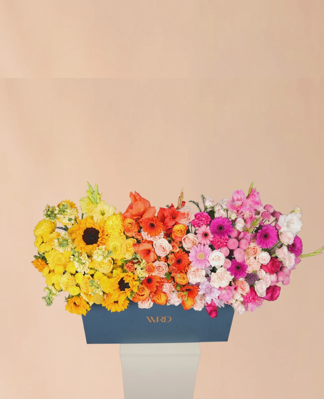 Summer Bloom thumbnail 5