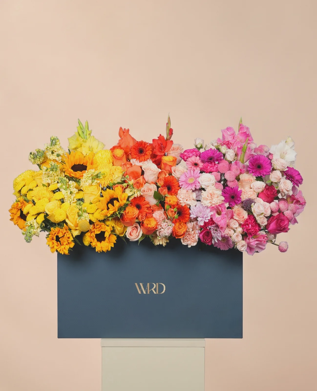 Summer Bloom